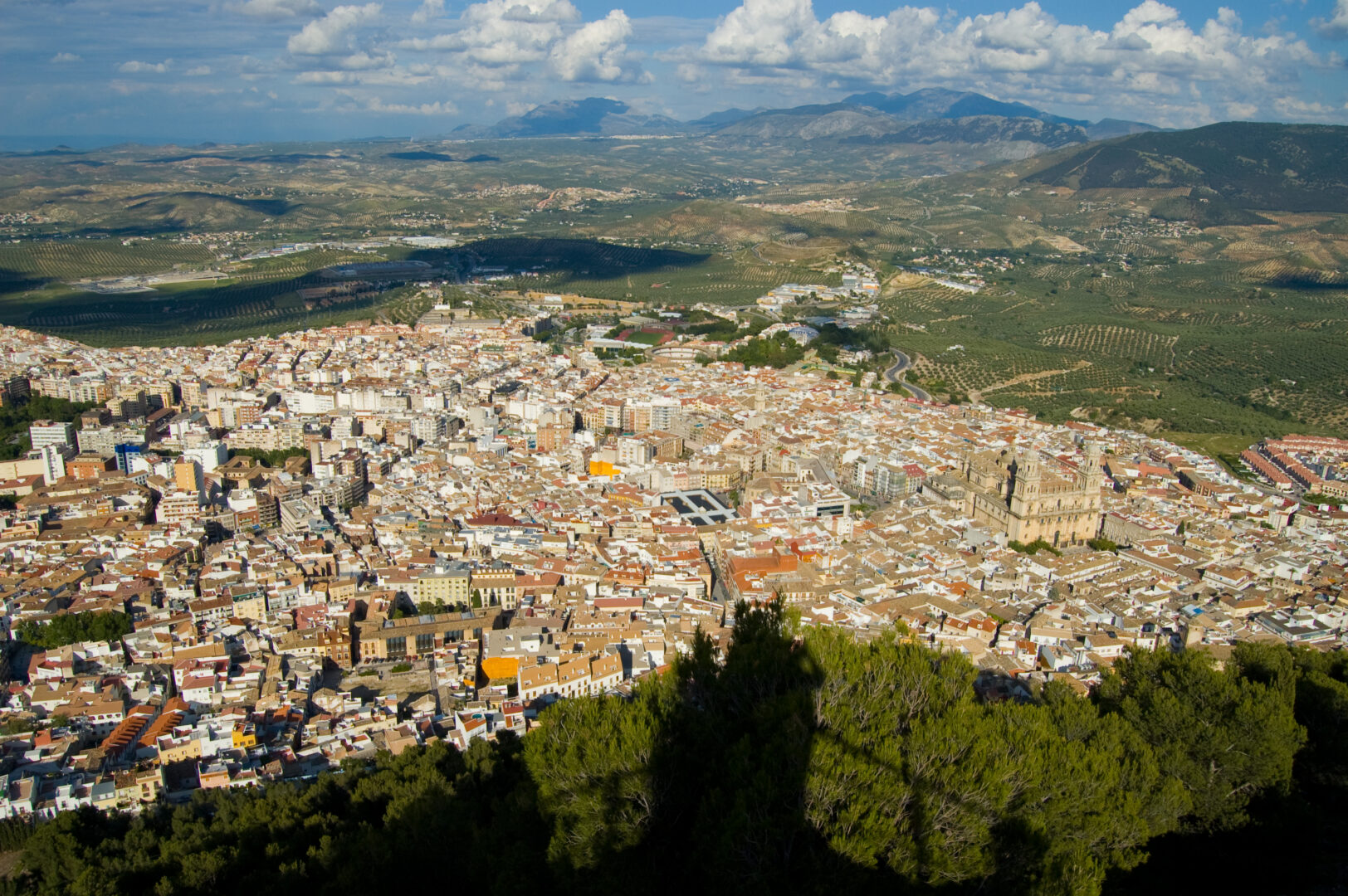 Storia di Jaén: la città andalusa degli ulivi