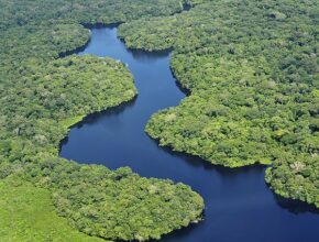 viaggio in Amazzonia