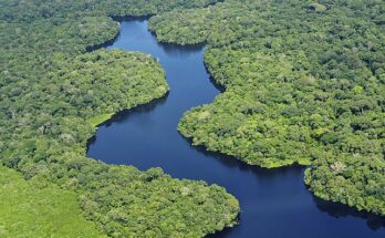 viaggio in Amazzonia