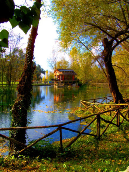 Parco del Grassano (Fiore Silvestro Barbato)