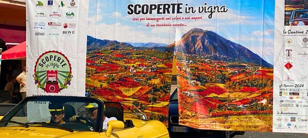 Scoperte in Vigna 2024