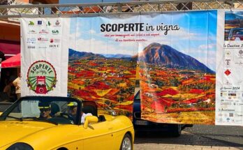 Scoperte in Vigna 2024