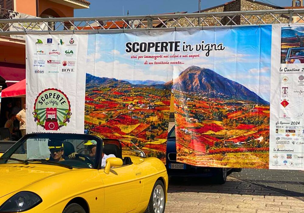 Scoperte in Vigna 2024