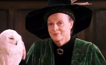 Maggie Smith in Harry Potter e la Pietra Filosofale - screenshot scena del film