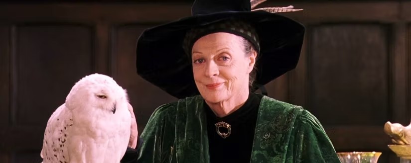 Maggie Smith in Harry Potter e la Pietra Filosofale - screenshot scena del film
