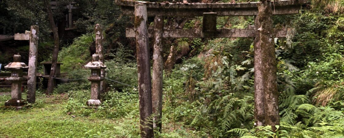 Chinju no mori: foreste sacre shintoiste per tutto il Giappone