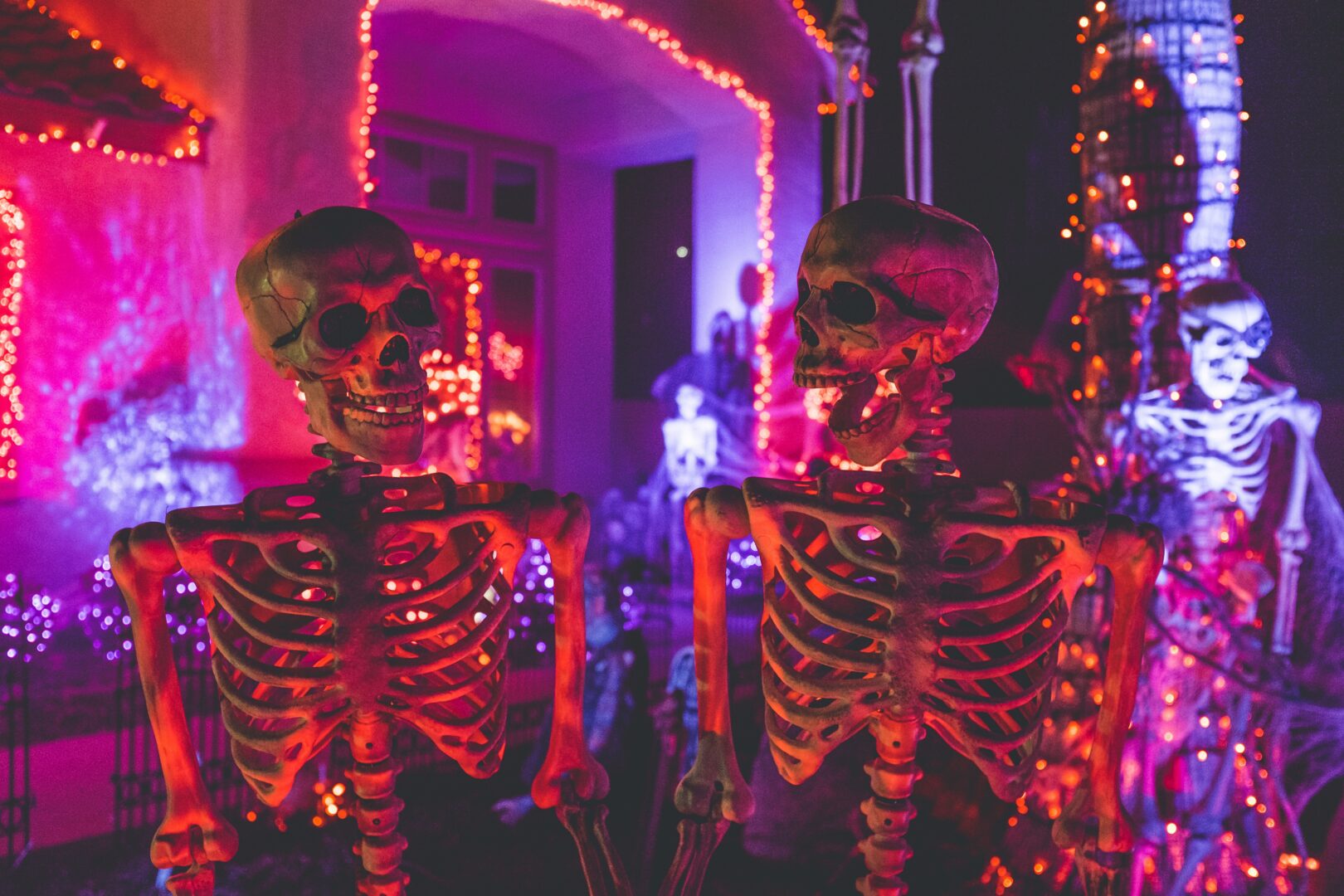 Halloween 2024