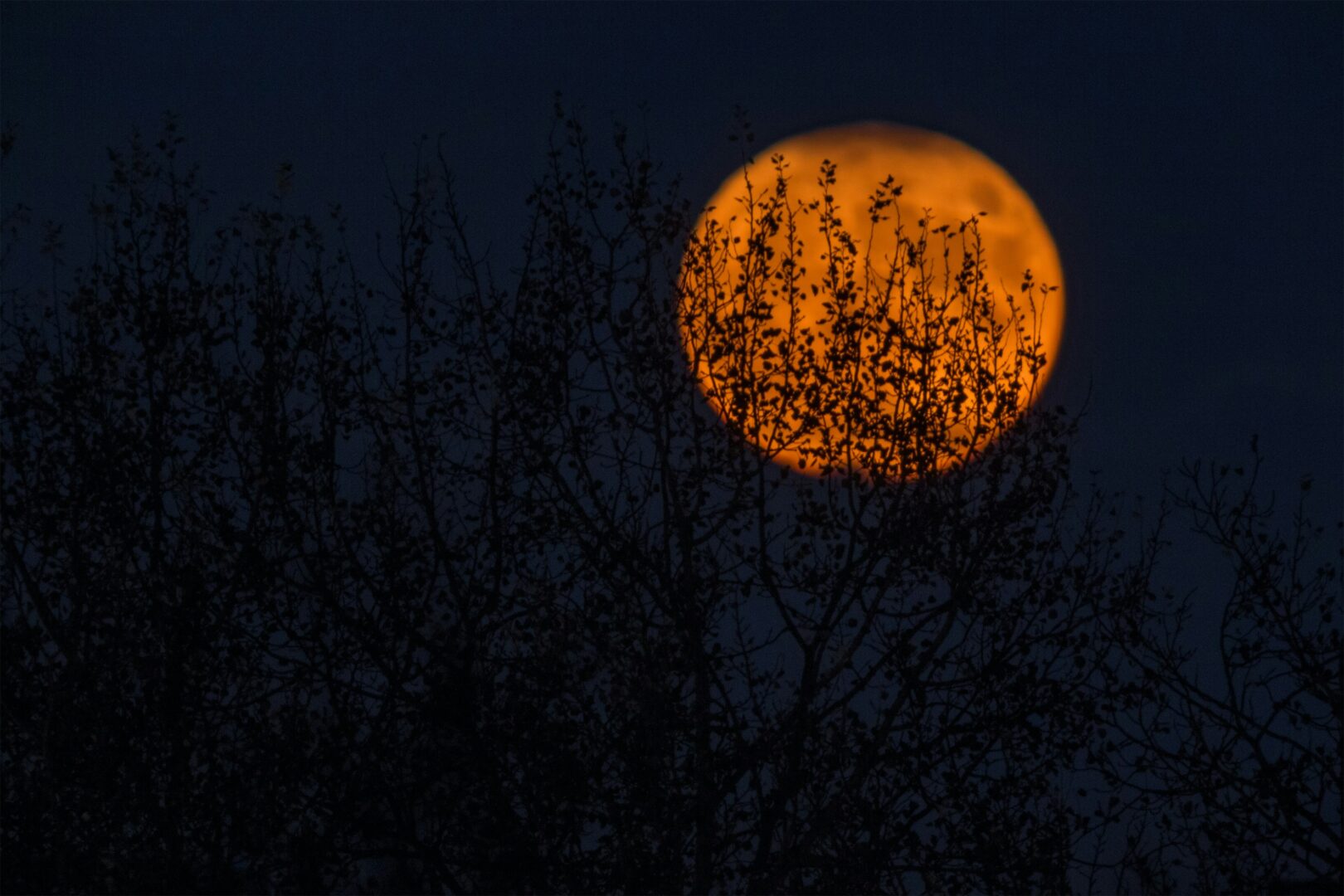 Halloween e musulmani: una festività lontana dalla fede islamica
