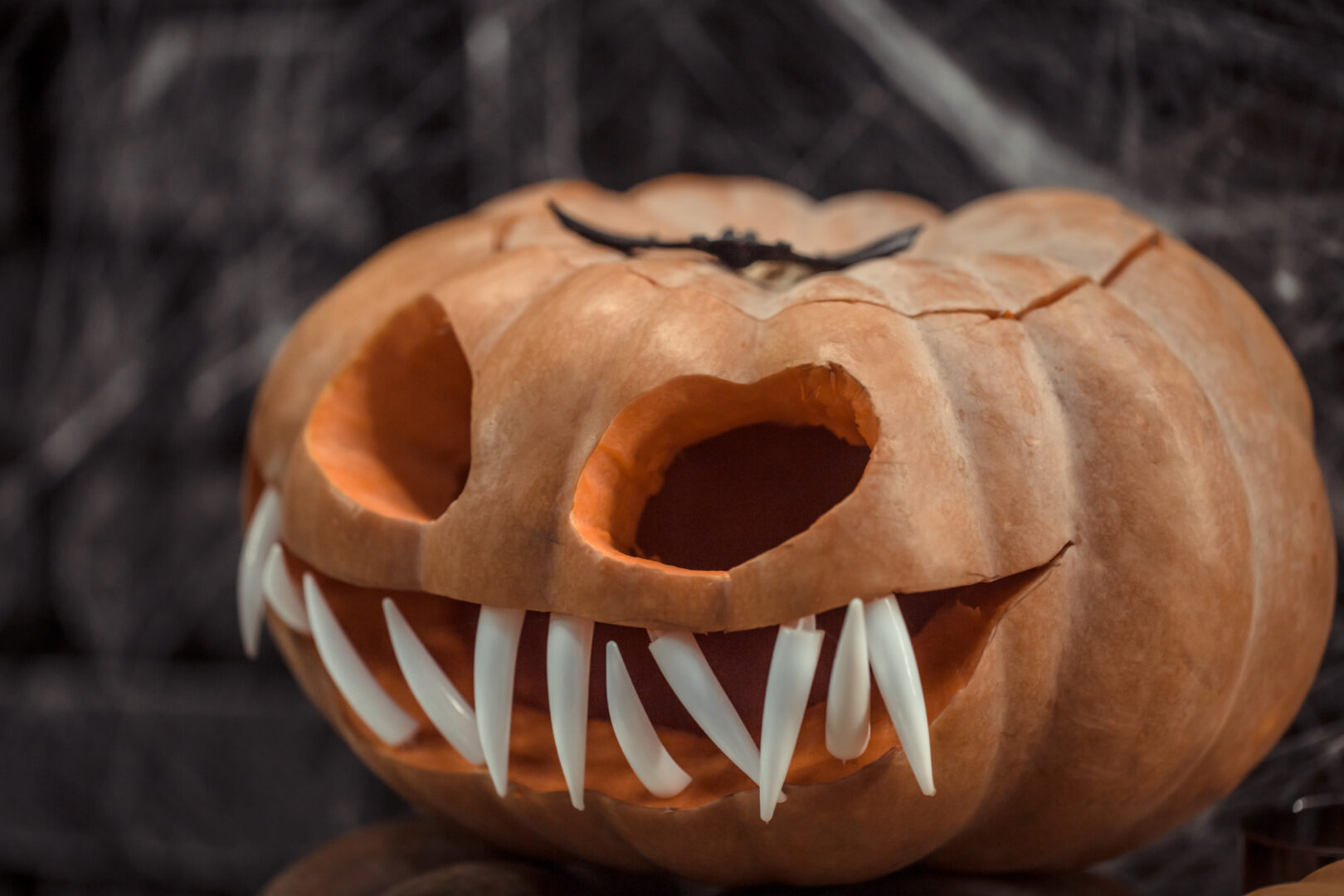 Creepypasta di Halloween, 3 da conoscere