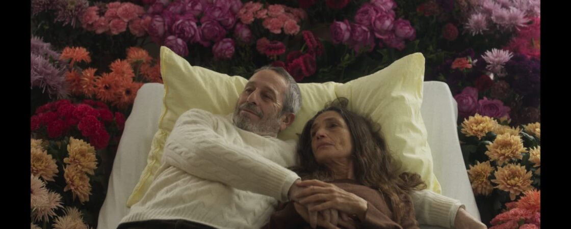 Polvo serán di Carlos Marques - Marcet: la storia di un amore indissolubile
