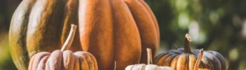 Halloween e Testimoni di Geova: perché scelgono di non celebrarlo