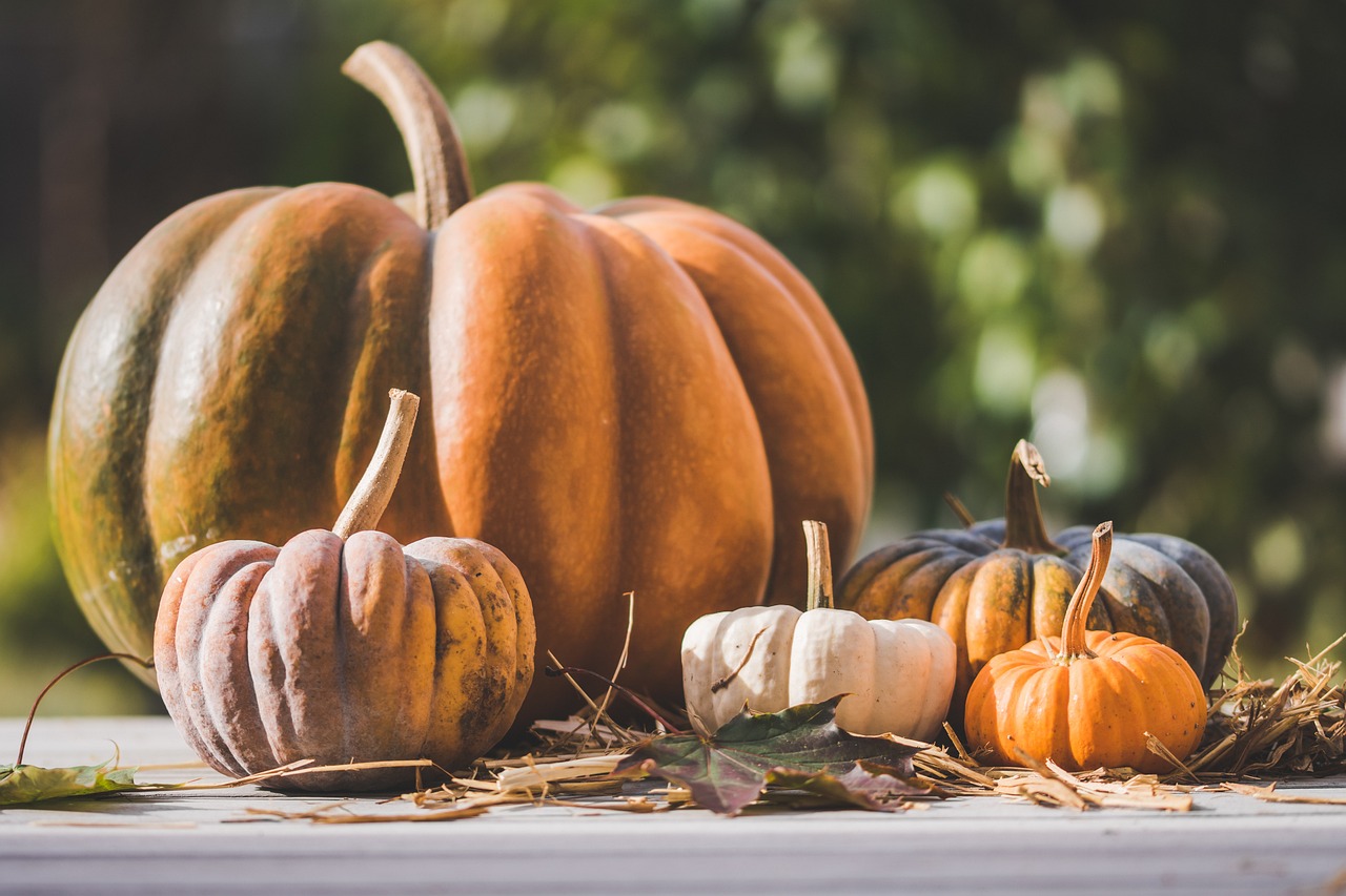 Halloween e Testimoni di Geova: perché scelgono di non celebrarlo