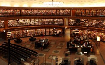 Studiare Odontoiatria in Romania