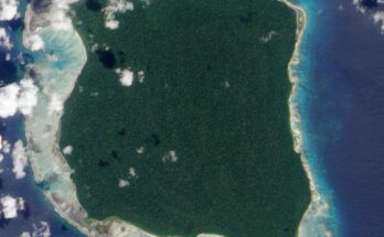 Curiosità sui sentinellesi: cosa c’è da sapere