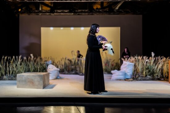 Il cavaliere inesistente al Teatro India | Recensione