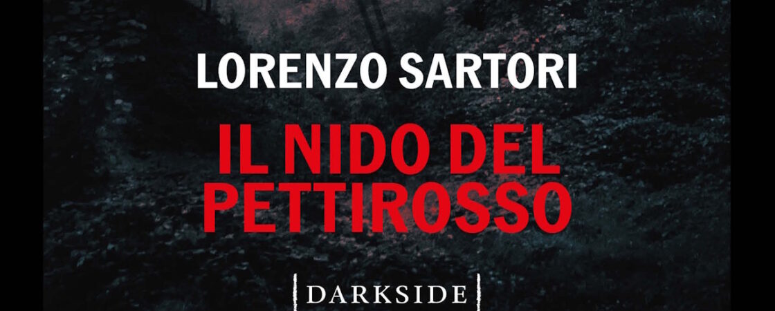 il nido del pettirosso