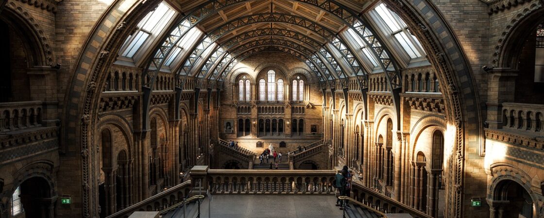 Il Museo di Storia Naturale di Londra: cosa non perdere