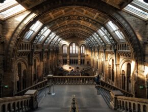 Il Museo di Storia Naturale di Londra: cosa non perdere