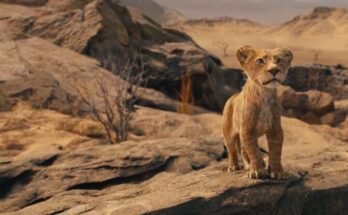 Mufasa – Il re leone di Barry Jenkins. Recensione del prequel live action