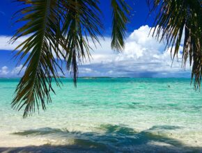 5 cose da fare a Bimini nel tuo prossimo viaggio
