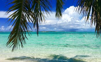 5 cose da fare a Bimini nel tuo prossimo viaggio