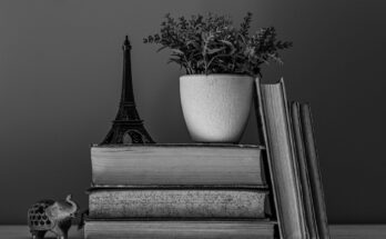 Romanzi ambientati a Parigi