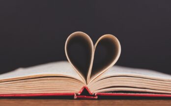 Saggi sull’amore
