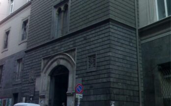 Museo zoologico di Napoli: cosa c’è da sapere
