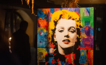 Sensi in mostra