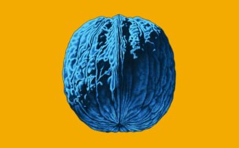 L’albero delle noci di Brunori Sas | Recensione dell'album
