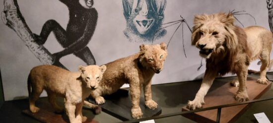 Museo della Natura e dell'Uomo