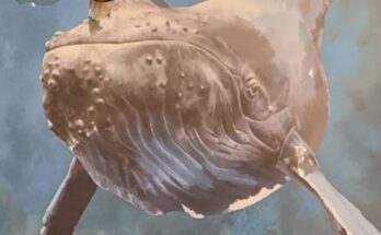 Museo della Natura e dell'Uomo, Padova: un viaggio unico