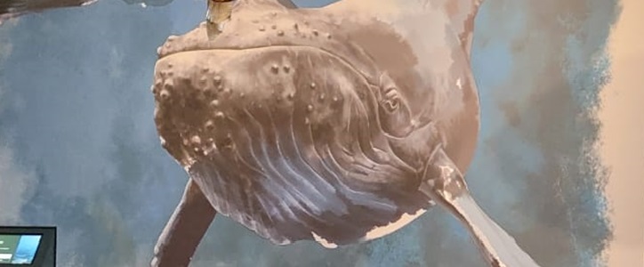 Museo della Natura e dell'Uomo, Padova: un viaggio unico