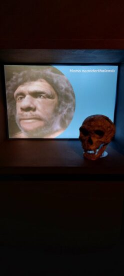 Museo della Natura e dell'Uomo