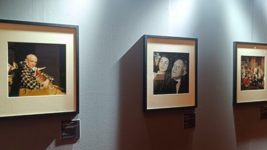 Picasso: Le fotografie