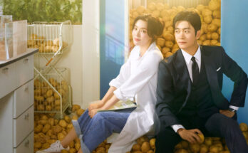 Potato Lab: tra amore e… patate