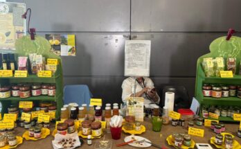 Roma Vegan City