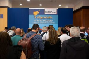 VitignoItalia