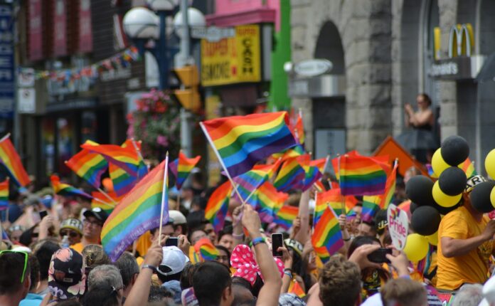 Cantanti che sostengono il pride