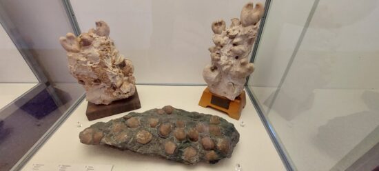 Museo dei Grandi Fiumi