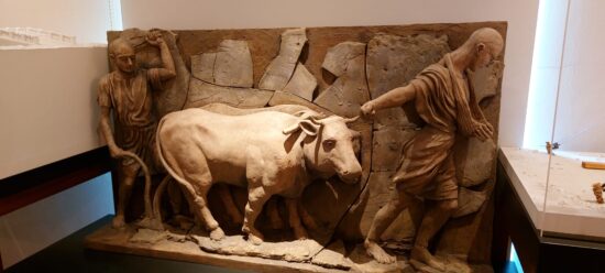 Museo dei Grandi Fiumi