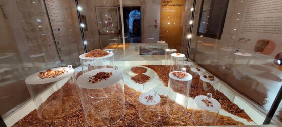 Museo dei Grandi Fiumi