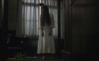 Sadako di The Ring: dalla leggenda di Okiku al cinema
