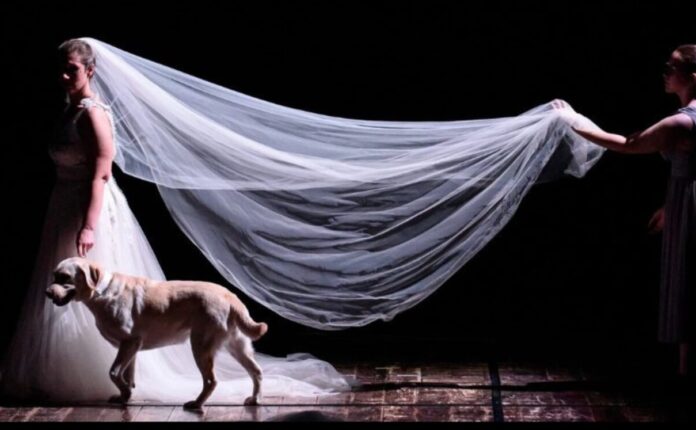 Fare teatro oltre lo sguardo, per il CTF | Recensione
