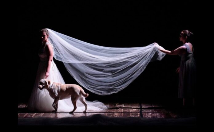 Fare teatro oltre lo sguardo, di Murìcena Teatro | CTF