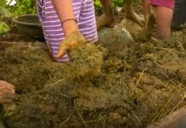 Cosa è la Gorehabba: l’insolita festa indiana