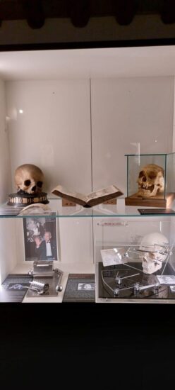 Museo di Storia della Medicina