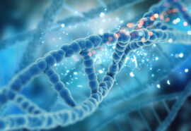 Sindrome di Down: scoperta su come rimuovere il cromosoma 21