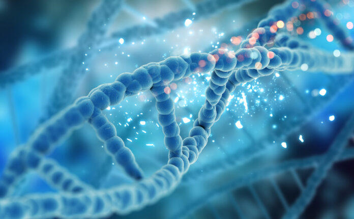 Sindrome di Down: scoperta su come rimuovere il cromosoma 21