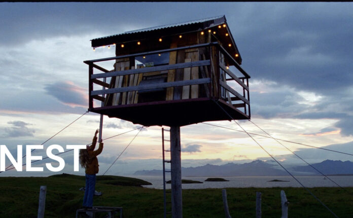 Nest (film), crescere insieme alla natura | Recensione